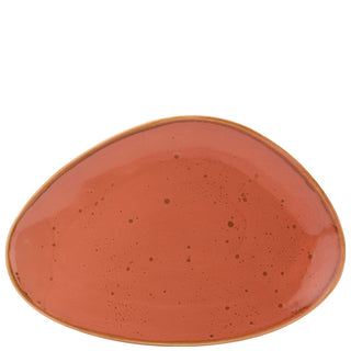 Porcelain Earth Oblong Plates 25cm/35.5cm Pack of 6 for Sharing Professional Table Presentation
