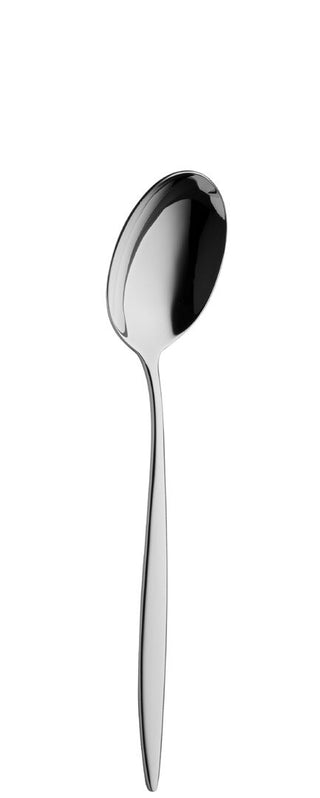 Dessert Spoons Set of 12, Adagio Collection Stainless Steel Table Spoon, Mirror Polished Cutlery, Dishwasher Safe