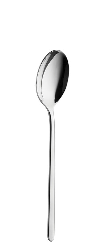 Dessert Spoon, Alaska Collection Stainless Steel Cutlery Table Spoons, Mirror Polished Finish - Set of 12