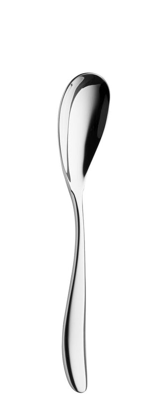 Dessert Spoons, Petale Collection Stainless Steel Dinner Table Spoon, Fine Dining Service Cutlery - Set of 12