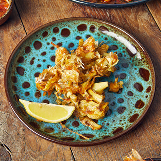 Vitrified Terracotta Dessert Plates Set of 12, Sabrosa Rustic Pasta Salad Side Plate, 19.5cm Diameter