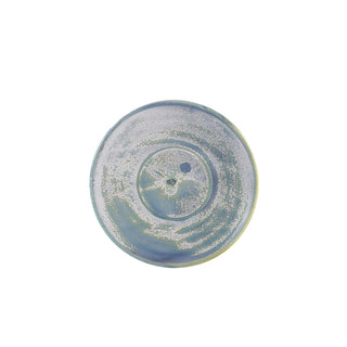 Porcelain Terra Saucer 11.5cm/14.5cm Set of 6 Polished Foot Saucers Table Service